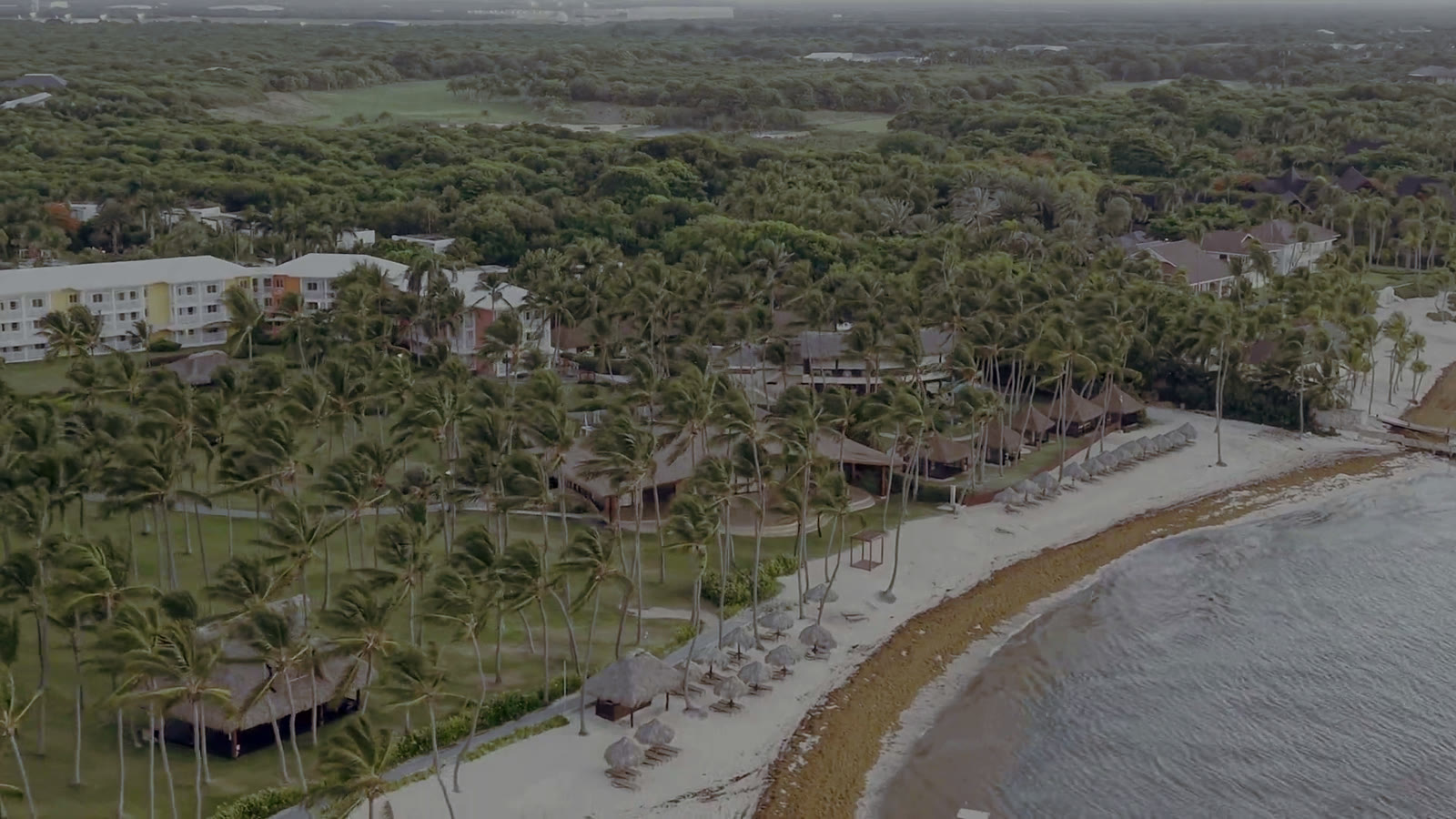 The same frame after the Evolve color grade