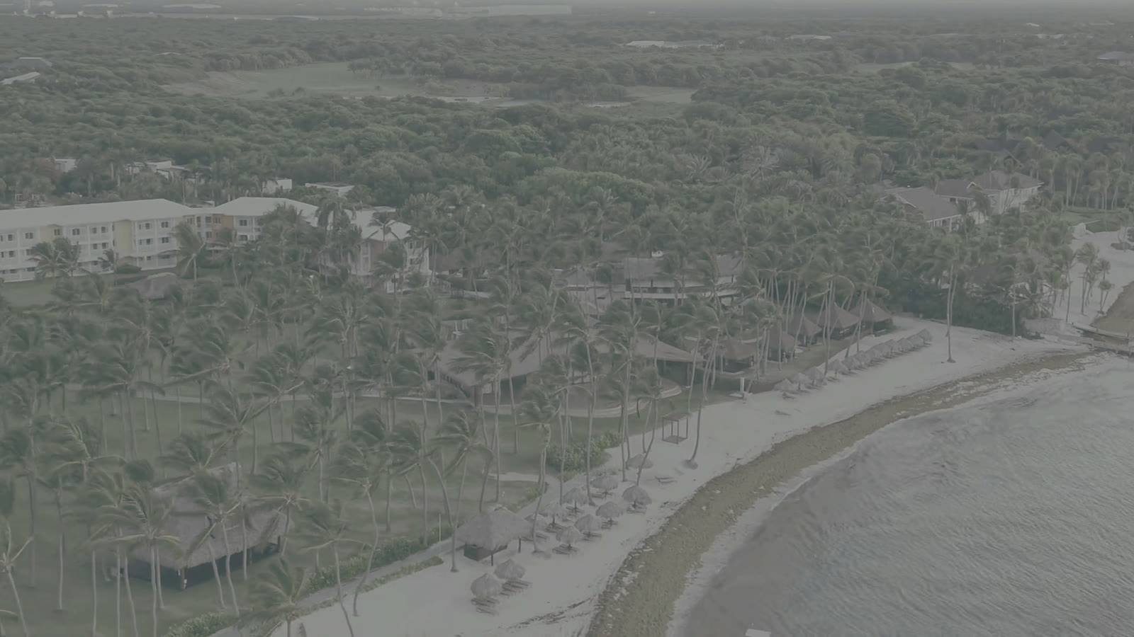 The same frame ungraded, straight off the camera